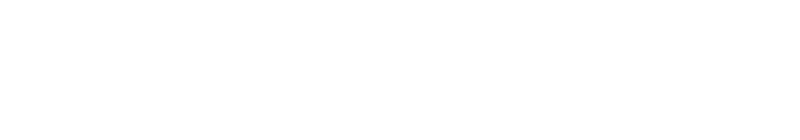 Excellence in Practice, L.L.C., Kansas Health Care Consultants